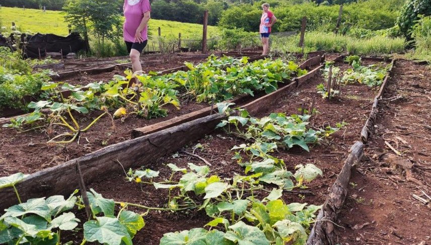 Administración de Parques Nacionales, Argentina